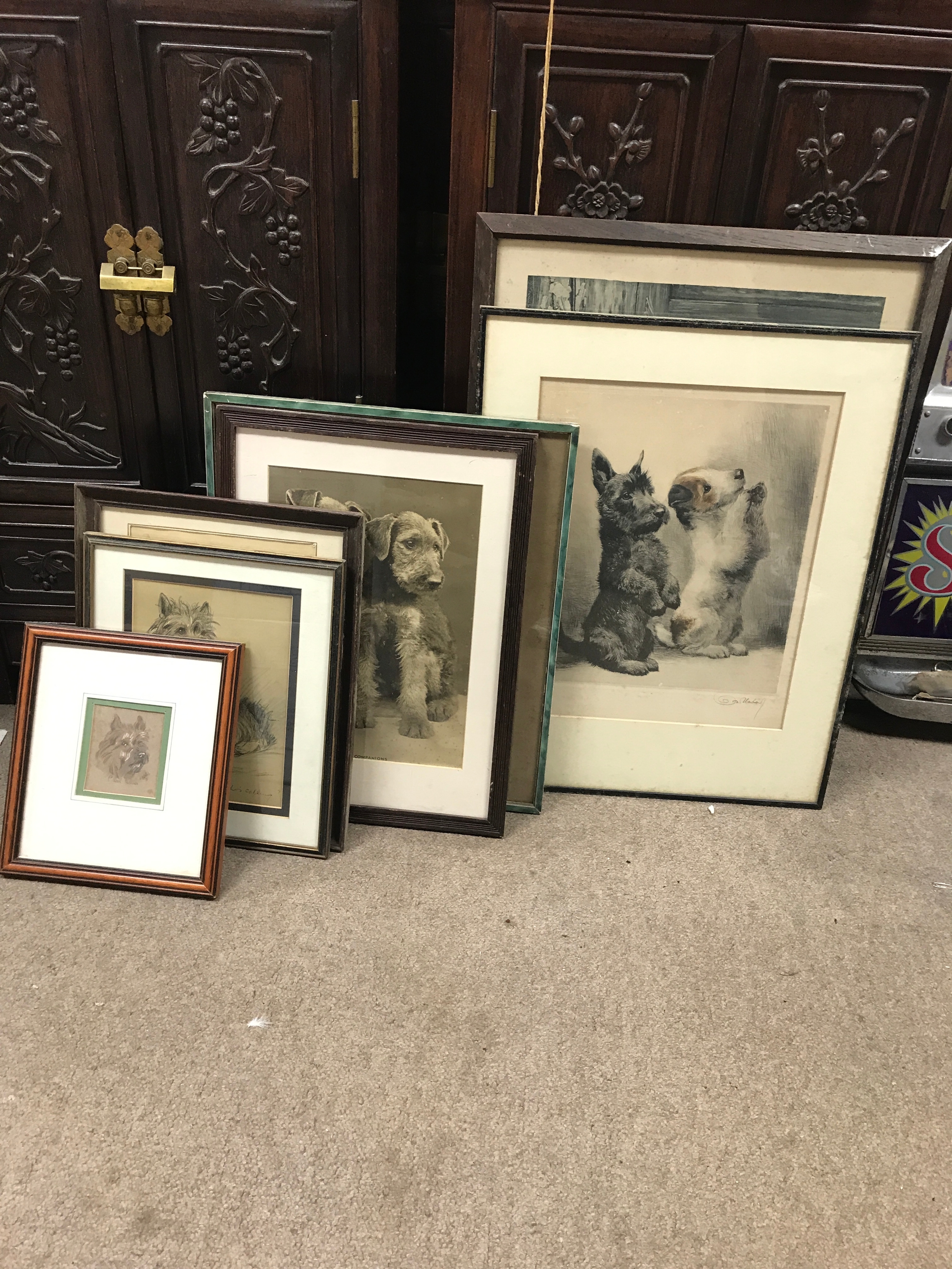Variety of dog picture prints 