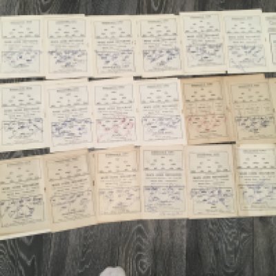 Early 60s Division 2 Fully Signed Football Programmes: Huddersfield home programmes from 61/62 and 62/63 fully signed by the opposition team on the team page. Former property of Ray Wood, the Huddersfield and Manchester United goalkeeper. Teams include Derby, Cardiff, Bury, Sunderland, Luton, Rotherham, Grimsby, Swindon, Newcastle, Walsall, Carlisle, Orient, Bristol Rovers, Brighton and Middlesbrough. Good condition and a nice lot. (22)