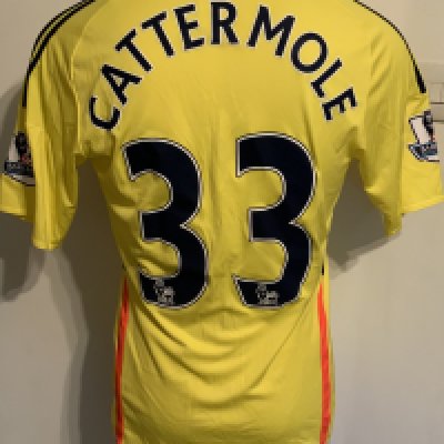 Sunderland 2013 - 2014 Match Worn Football Shirt: Yellow short sleeve with Premiership badging to arms. Number 33 Catermole to rear.