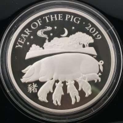 2019 Lunar year of the pig 5oz silver proof coin with COA Postage B