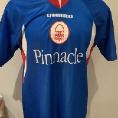 Nottingham Forest 1997 - 1998 Match Worn Football Shirt: Blue short sleeve shirt with Nationwide League badge to sleeves. Number 16 to rear. Worn by Nikola Jerkan.