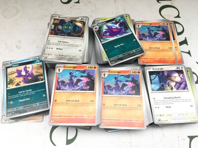 A Collection Of Phantasmal Flames Pokemon Cards Including Holographic From Mega Evolution Series. Approximately 600 Cards.
