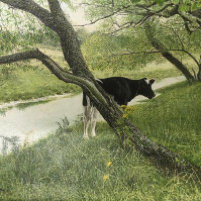 A framed acrylic painting study of friesian cows entitled Stand and Stare signed by the artist Kenneth James Saterlay the reverse with The Mall Exhibition label and one other smaller acrylic painting study of a river (2) 54x44cm and 36x28cm. NO RESERVE