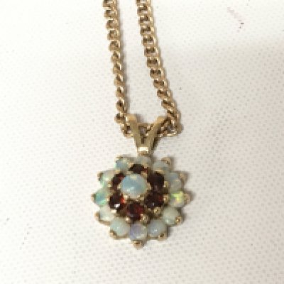 A 9carat gold pendant set with Opal and ruby and with a 9carat gold chain weight 5g.