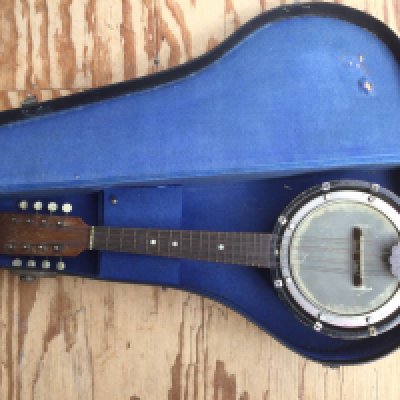 A cased eight string banjolin.