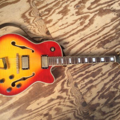 A WS electric jazz guitar. Comes with a soft carry case.
