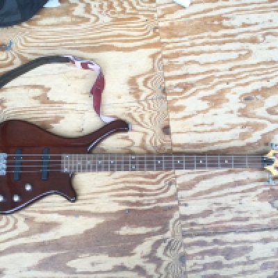 A Wesley bass guitar. Comes with a soft carry case.