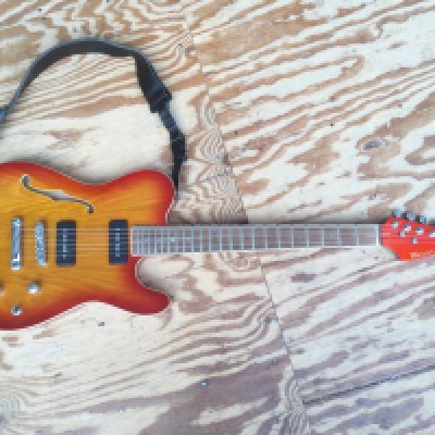 A Wesley Newport thinline Telecaster style electric guitar. Comes with a soft carry case.