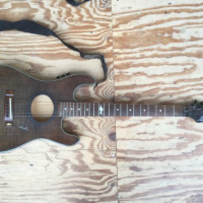 A Marlin Jasmine electro acoustic guitar. Comes with a soft carry case.