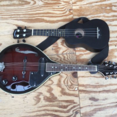 A Stagg mandolin and a Puretone ukelele, both with soft carry cases.