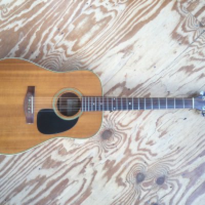 An LM-15 Lo Prinzi hand built acoustic guitar together with one other acoustic guitar. No cases.