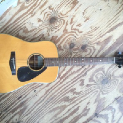A Yamaha DW-9 acoustic guitar. Has had replacement tuners fitted. Comes with a soft carry case.