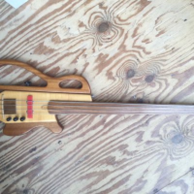 A German hand built fretless bass guitar. No case.