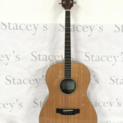 An Ashbury GR36113 four string tenor guitar with fitted carry case.