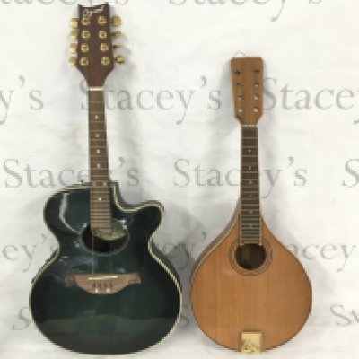 An Ozark 8 string electro mandolin with case plus one other eight string mandolin.