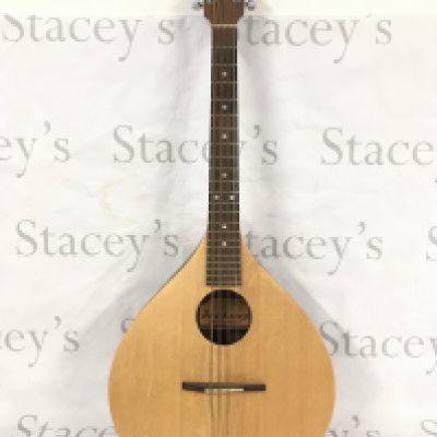 An Ashbury Rathlin Irish Bozouki with soft padded carry case.