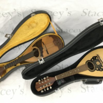 Two cased mandolins.