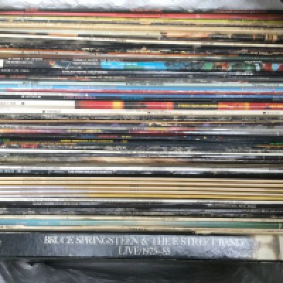 A collection of LPs by various artists including Bruce Springsteen, Kate Bush, British Sea Power and others.