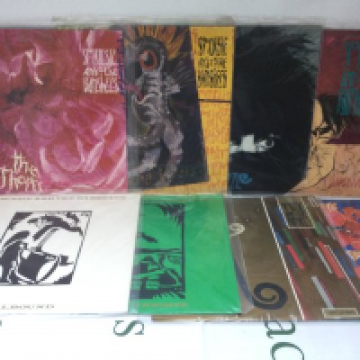 Seventeen Siouxsie & The Banshees 12" singles including a promo disc.