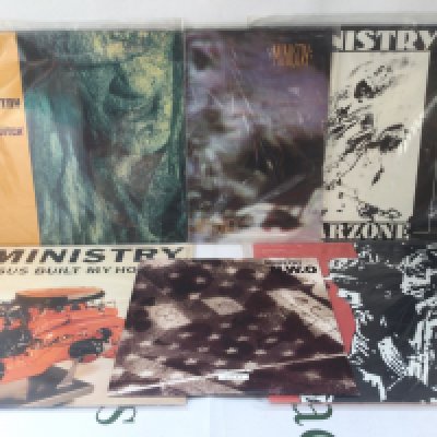 Four Ministry LPs and eight 12" singles.