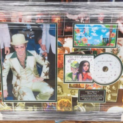 A framed and glazed signed display of Elton John, approx 46cm x 66cm.