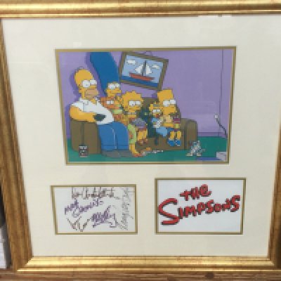 A framed and glazed multi signed display of The Simpsons, approx 53cm x 53cm.