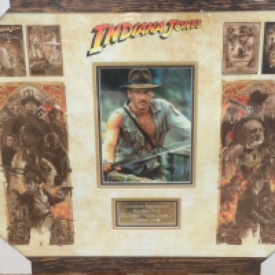 A framed and glazed Indiana Jones display signed by Harrison Ford with COA, approx 49cm x 59cm.