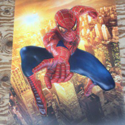 A 3D Spiderman 2 cinema poster obtained by the vendor who worked for Odeon cinemas. Approx 68cm x 98cm.