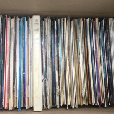 Two boxes of LPs by various artists including The Who, Captain Beefheart, The Pretty Things and many more.