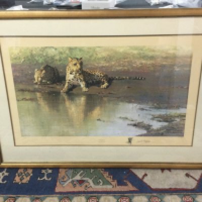 Two large framed and signed David Shepard prints titled Burning Bright and Cool Waters, frame dimensions 100x75cm. This lot cannot be posted
