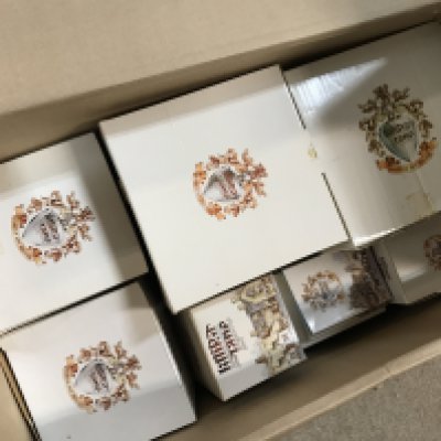 A box containing a large collection of various Lilliput Lane cottages