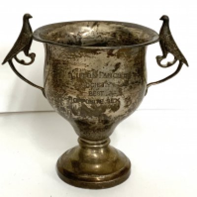 A small trophy cup for Luton Pigeon fanciers. (B)