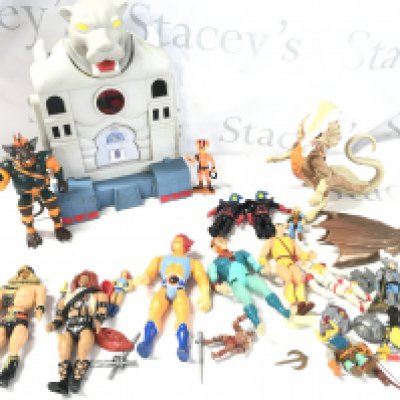 A Collection of Thundercats. Dungeons and Dragons And infaceables Figures. No Reserve.