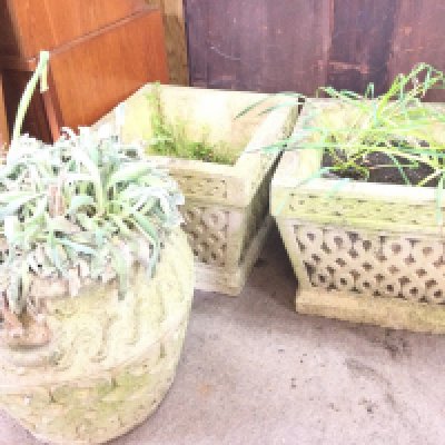 3 X Celtic Composition Garden Pots. (3).