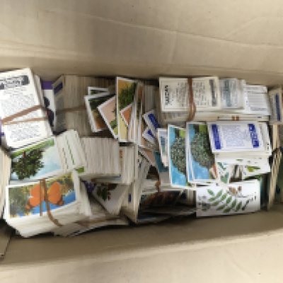 A box containing tea cards various. NO RESERVE