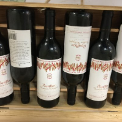 A case containing six bottles of Baron Philippe De Rothschild 1995 Pauillac and case containing three bottles of Spanish 1996 Rioja