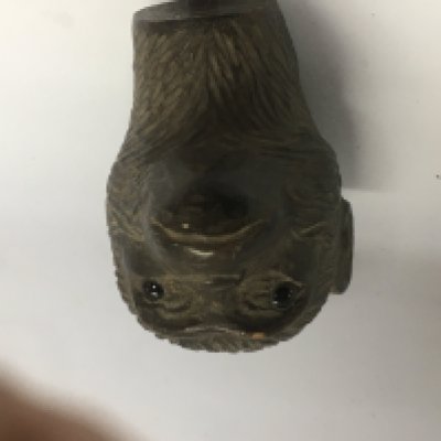 A walking stick handle in the form of a monkeys head . NO RESERVE
