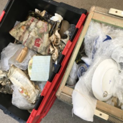 A large Collection of various ceramics including a Shelley vase, Southend plate, cat figures etc