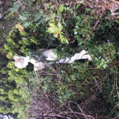 a composition, concrete garden, ornament sculpture of a neoclassical woman, holding a bowl on a shaped base. Sold in situ buyer to collect. 176cm high.