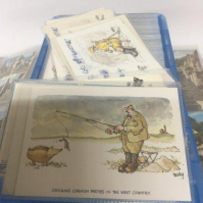 A large collection of well presented comical post cards approximately 200 or more all in plastic sleeves by Arthur Dixon.