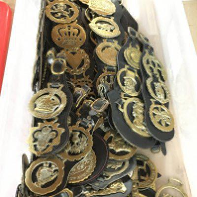 A large Collection of various horse brasses