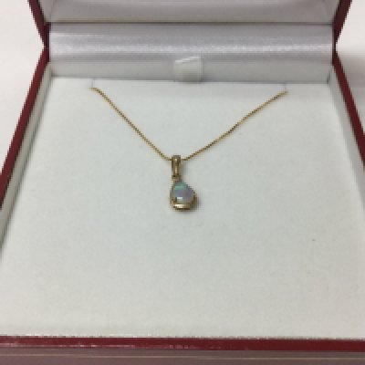 A 9ct gold box chain and opal set pendant.