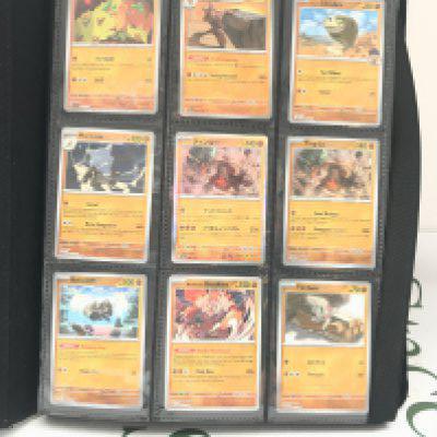 A Binder Containing Modern Pokemon Cards. No Reserve.