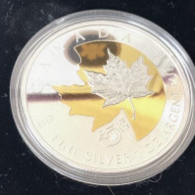 2013 $5 fine silver Canadian coin. Postage category A.