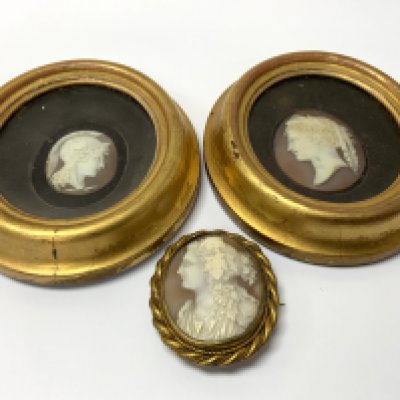 2 Victorian Gilt framed carved shell cameos, gilt mounted shell cameo brooch. (B)