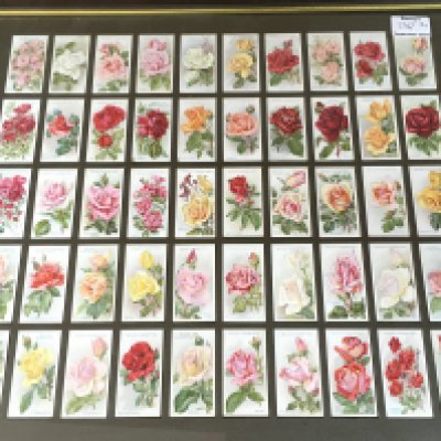 Three framed sets of cigarette cards and an empty frame with mounts. Cards including Wills, Players This lot cannot be posted