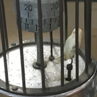 A chrome clock in the form of a bird cage on stand. NO RESERVE