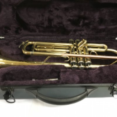 A cased trumpet, good condition no visible damage.