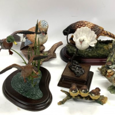 A small collection of birds including Country Artists, Capodimonte etc.. (D)