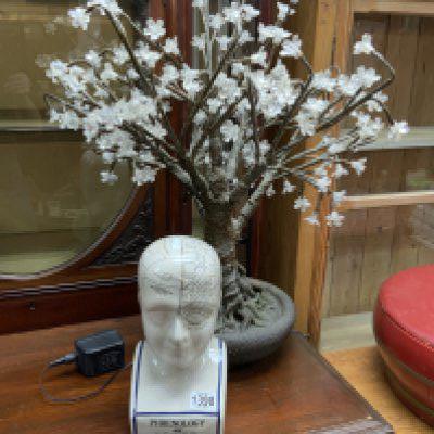 A large LED model tree together with a Phrenology ceramic head.
